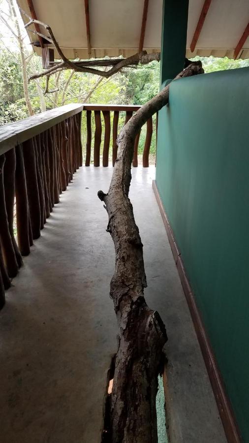 Sigiri Holiday Villa Sigirija Zewnętrze zdjęcie