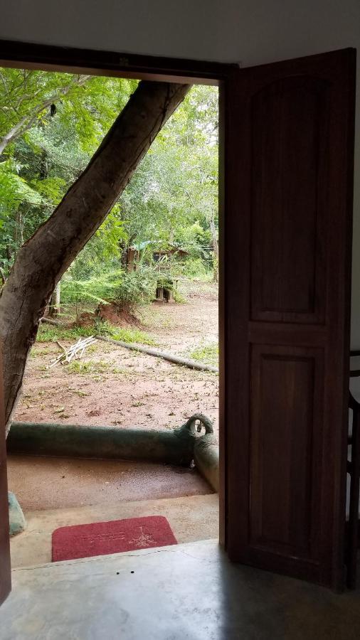 Sigiri Holiday Villa Sigirija Zewnętrze zdjęcie