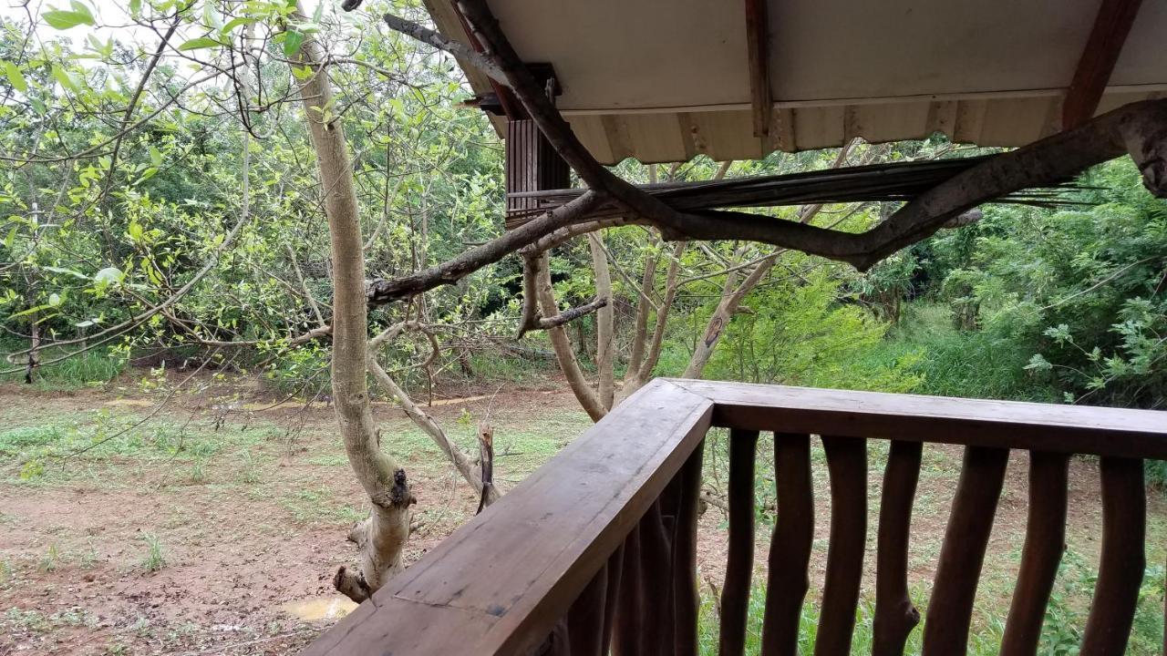 Sigiri Holiday Villa Sigirija Zewnętrze zdjęcie