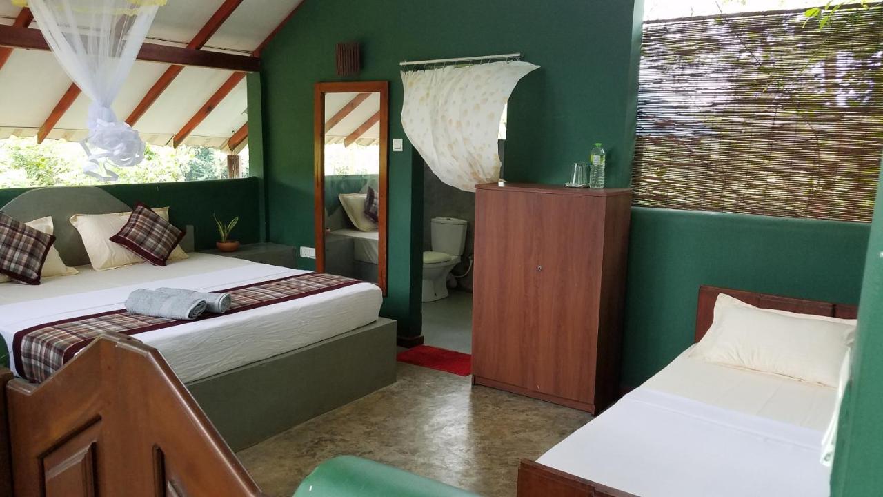 Sigiri Holiday Villa Sigirija Zewnętrze zdjęcie