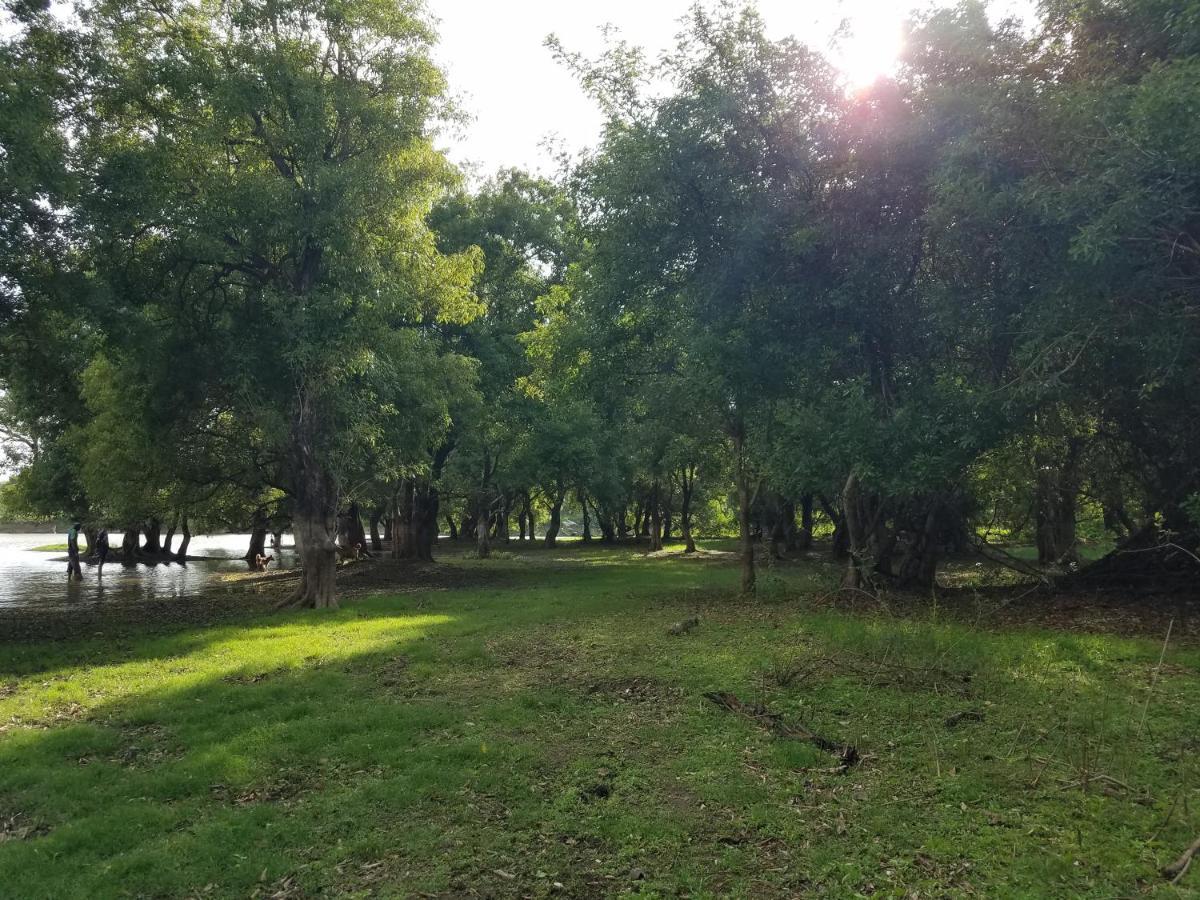 Sigiri Holiday Villa Sigirija Zewnętrze zdjęcie