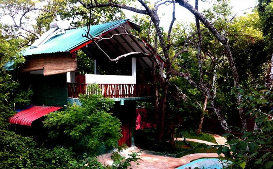 Sigiri Holiday Villa Sigirija Zewnętrze zdjęcie