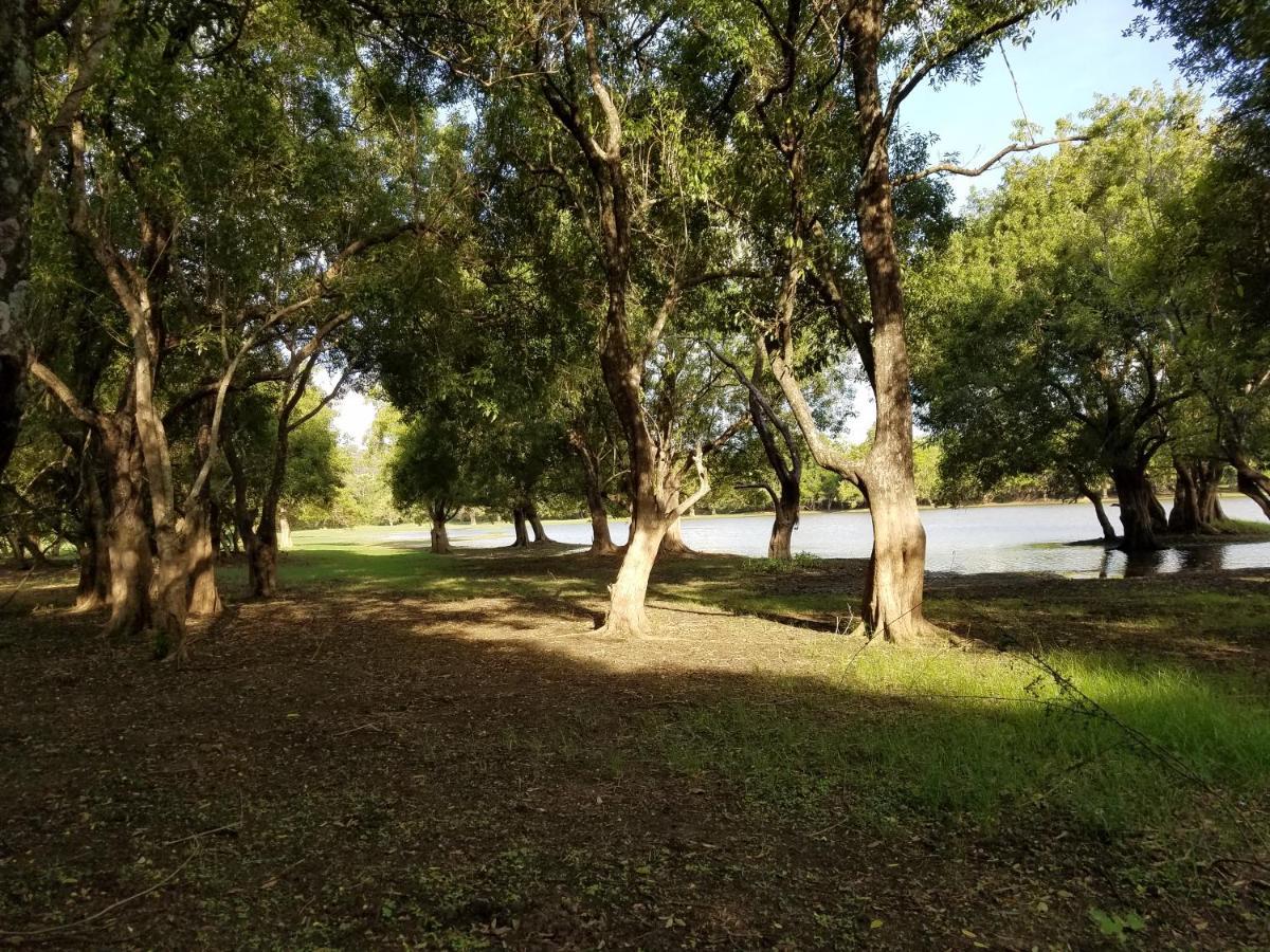 Sigiri Holiday Villa Sigirija Zewnętrze zdjęcie
