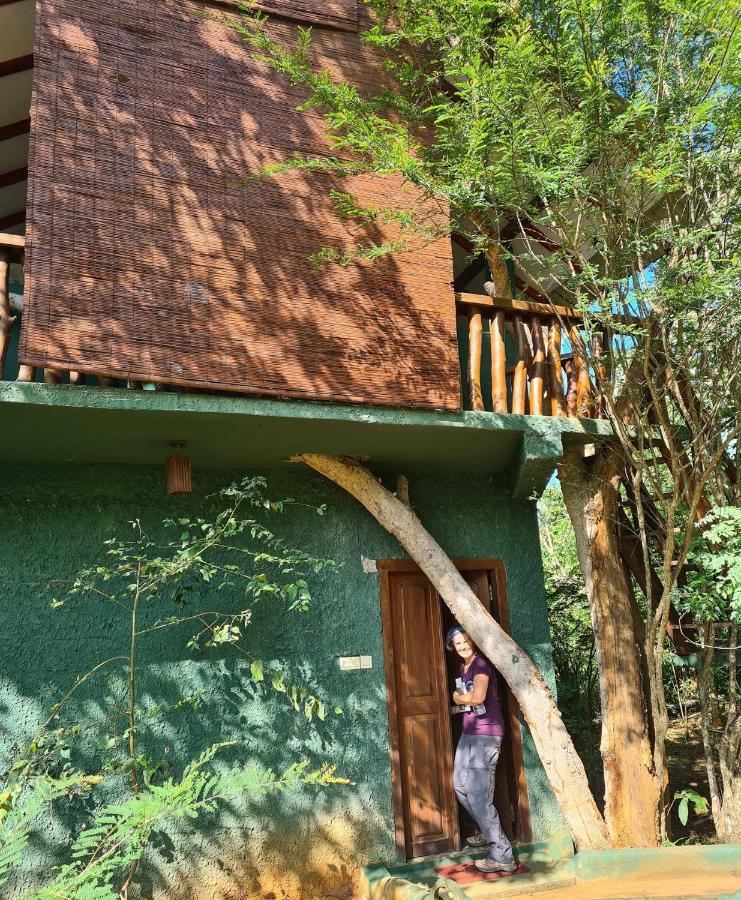 Sigiri Holiday Villa Sigirija Zewnętrze zdjęcie